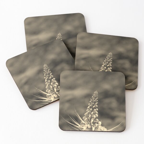 Item preview, Cat's-whiskers in sepia designed and sold by swan2sky.