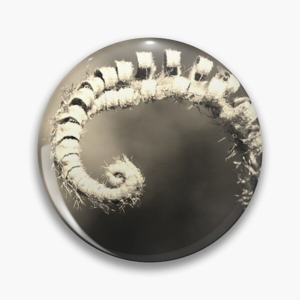 Item preview, Fern fiddlehead in sepia designed and sold by swan2sky.