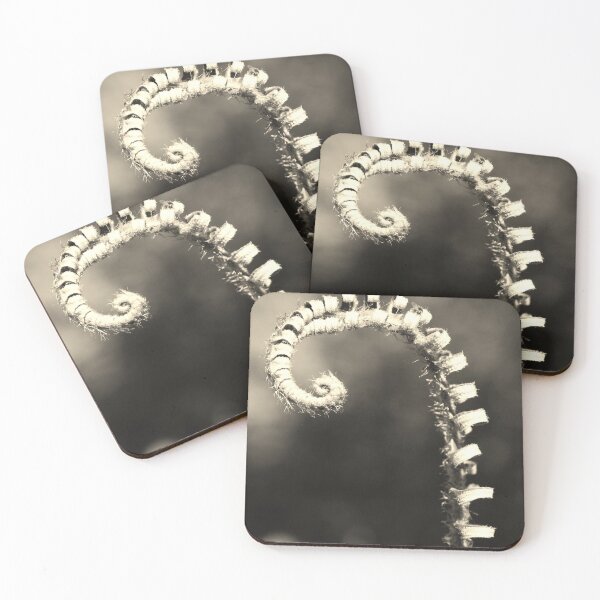 Item preview, Fern fiddlehead in sepia designed and sold by swan2sky.