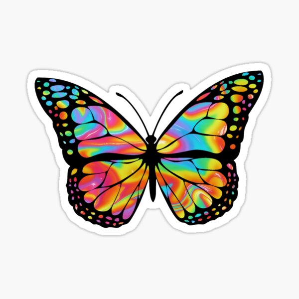 rainbow butterfly rainbow butterfly