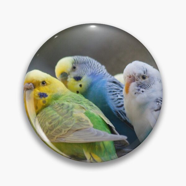 Item preview, Feathered Friends designed and sold by Jacquelie.