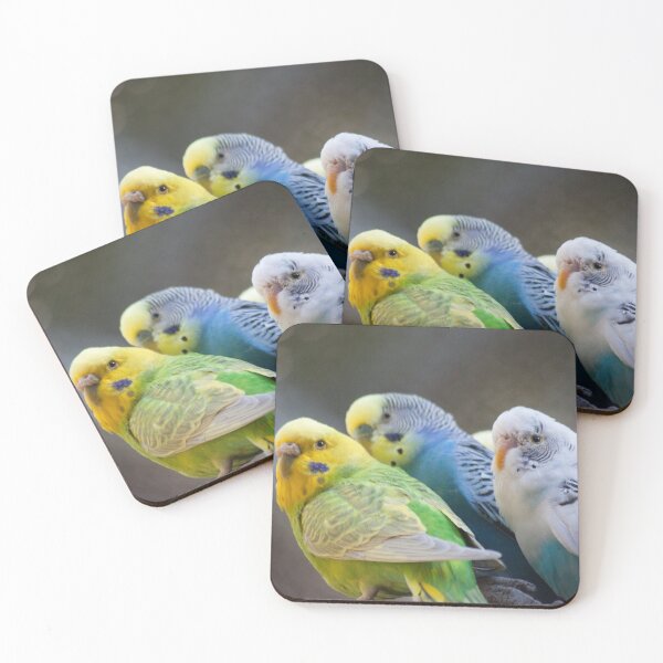 Item preview, Feathered Friends designed and sold by Jacquelie.