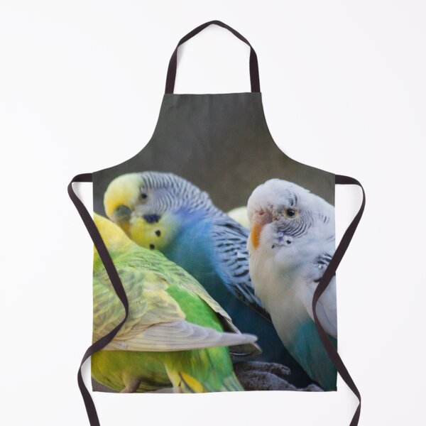 Item preview, Feathered Friends designed and sold by Jacquelie.