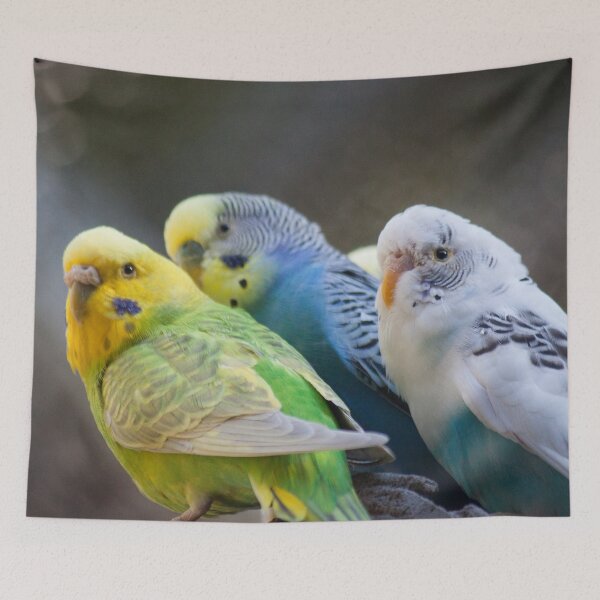 Item preview, Feathered Friends designed and sold by Jacquelie.