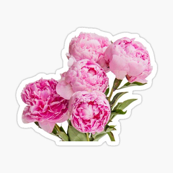 Aperçu de l'œuvre Bouquet de pivoines créée et vendue par BlueSkyEV.