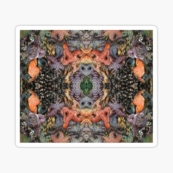 Psychedelic Sealife and Starfish Spectacular Sticker