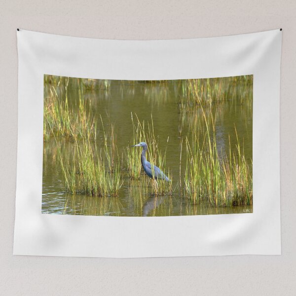Item preview, Little Blue Heron designed and sold by LisaWootenPhoto.