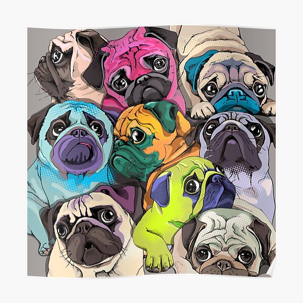 Portrait of many pugs Poster