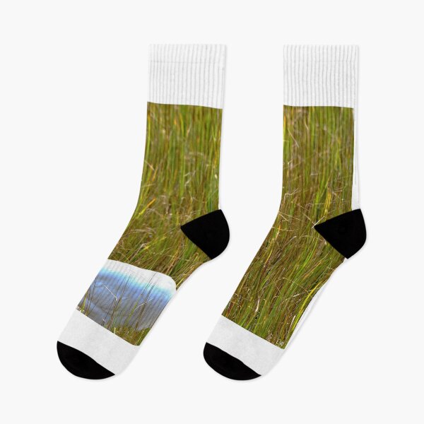 Item preview, Marsh Grass And An Egret 2 designed and sold by LisaWootenPhoto.