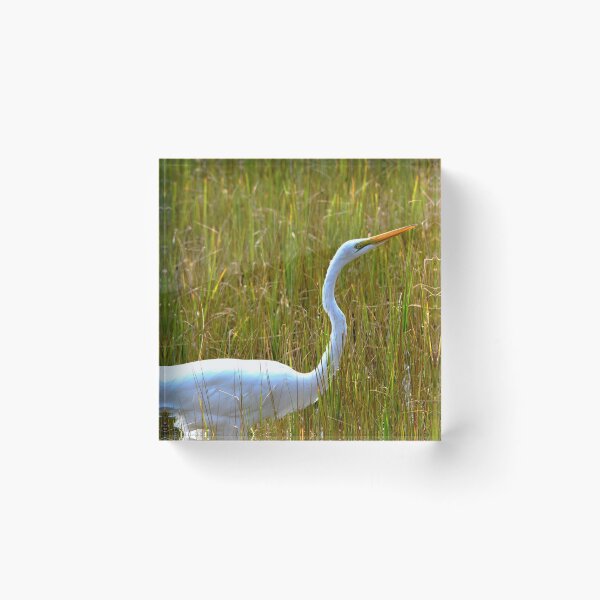 Item preview, Marsh Grass And An Egret 2 designed and sold by LisaWootenPhoto.