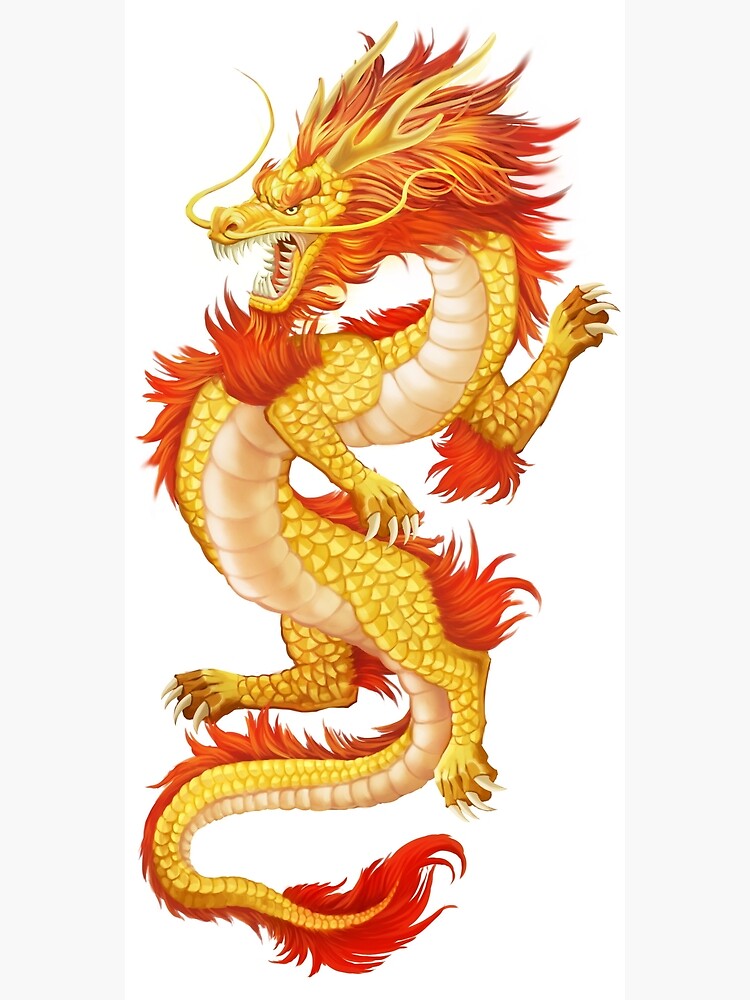 chinese-fire-dragon-poster-by-clothingjerown-redbubble