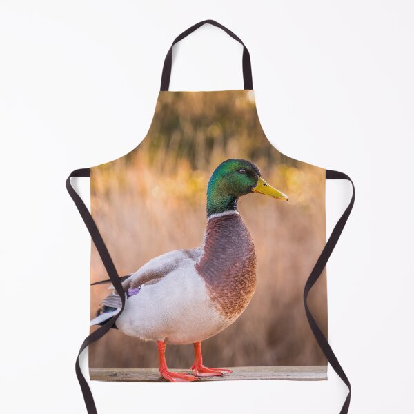 Item preview, Pato Mallard designed and sold by kayodeDesign.