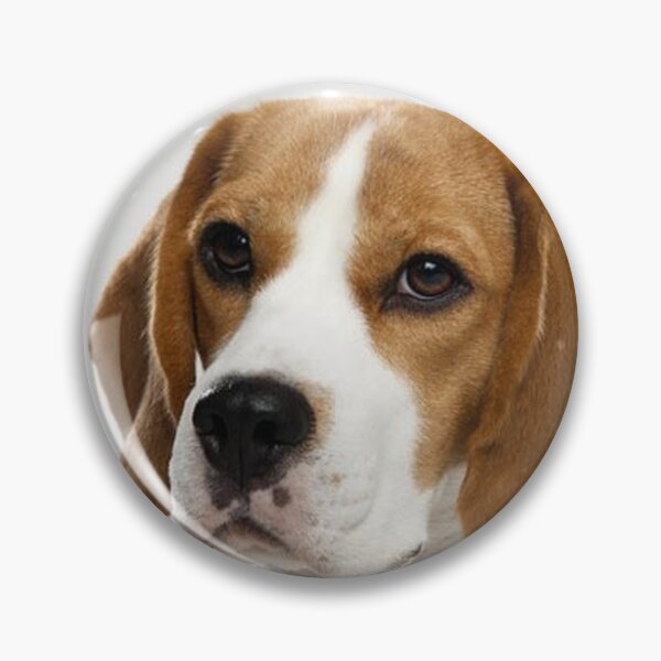 Item preview, Beagle dog portrait dogs pet pets puppy art cute Beagles  designed and sold by Coolstuff4you71.