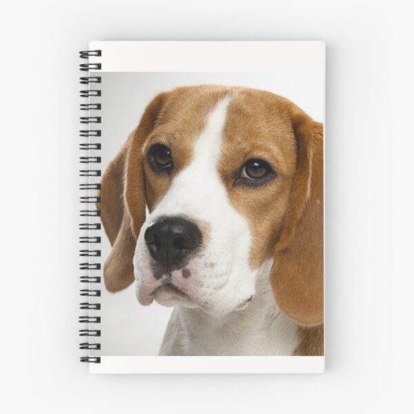 Item preview, Beagle dog portrait dogs pet pets puppy art cute Beagles  designed and sold by Coolstuff4you71.
