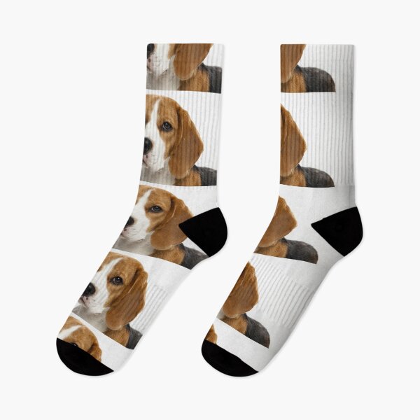 Item preview, Beagle dog portrait dogs pet pets puppy art cute Beagles  designed and sold by Coolstuff4you71.