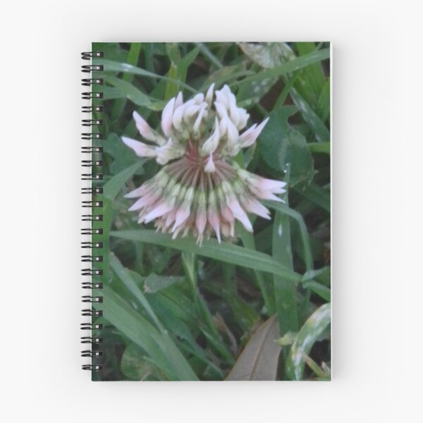 Item preview, Clover Wakes Up! designed and sold by Navigator.