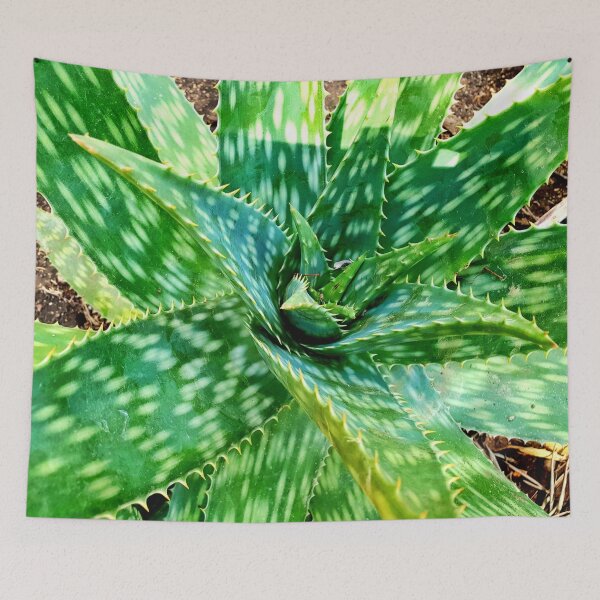 Aperçu de l'œuvre Plante verte d'Aloe Vera créée et vendue par kayodeDesign.