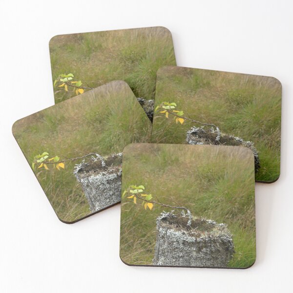 Item preview, Life Will Find a Way designed and sold by Chris Monks.