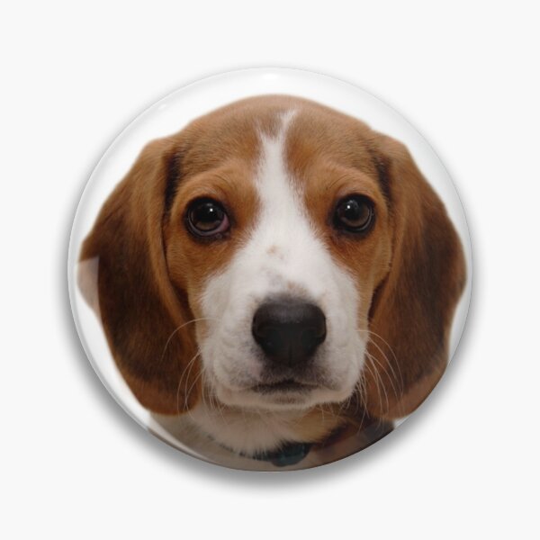 Item preview, Beagle dog portrait dogs pet pets puppy art cute Beagles  designed and sold by Coolstuff4you71.