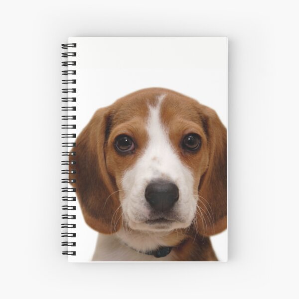 Item preview, Beagle dog portrait dogs pet pets puppy art cute Beagles  designed and sold by Coolstuff4you71.
