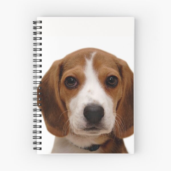 Item preview, Beagle dog portrait dogs pet pets puppy art cute Beagles  designed and sold by Coolstuff4you71.