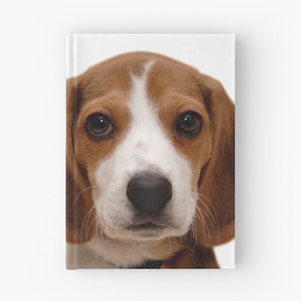 Item preview, Beagle dog portrait dogs pet pets puppy art cute Beagles  designed and sold by Coolstuff4you71.