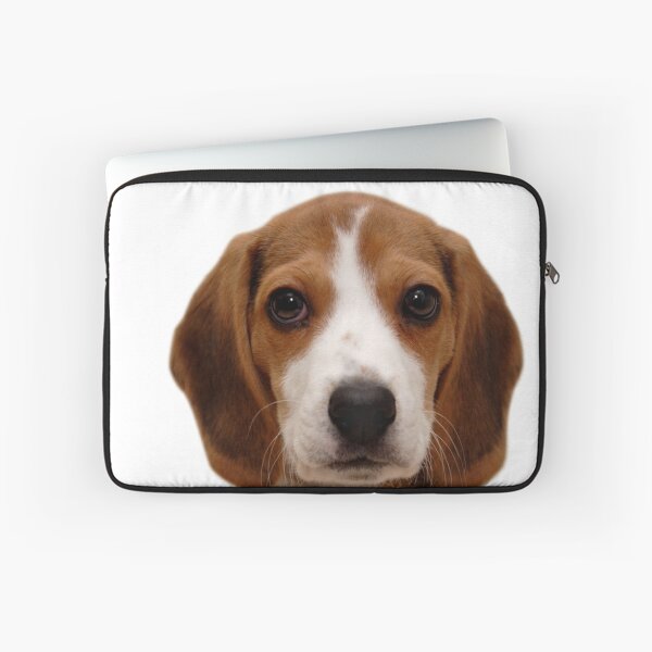 Item preview, Beagle dog portrait dogs pet pets puppy art cute Beagles  designed and sold by Coolstuff4you71.
