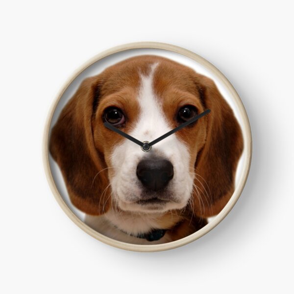 Item preview, Beagle dog portrait dogs pet pets puppy art cute Beagles  designed and sold by Coolstuff4you71.