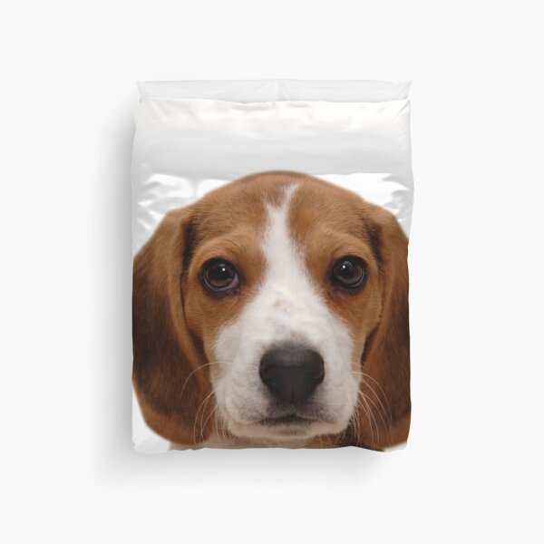 Item preview, Beagle dog portrait dogs pet pets puppy art cute Beagles  designed and sold by Coolstuff4you71.