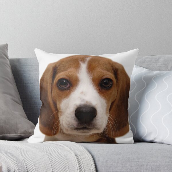 Item preview, Beagle dog portrait dogs pet pets puppy art cute Beagles  designed and sold by Coolstuff4you71.