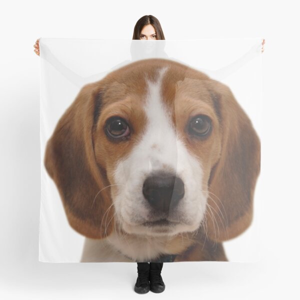 Item preview, Beagle dog portrait dogs pet pets puppy art cute Beagles designed and sold by Coolstuff4you71.