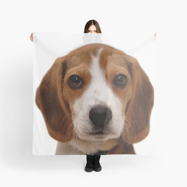 Item preview, Beagle dog portrait dogs pet pets puppy art cute Beagles designed and sold by Coolstuff4you71.