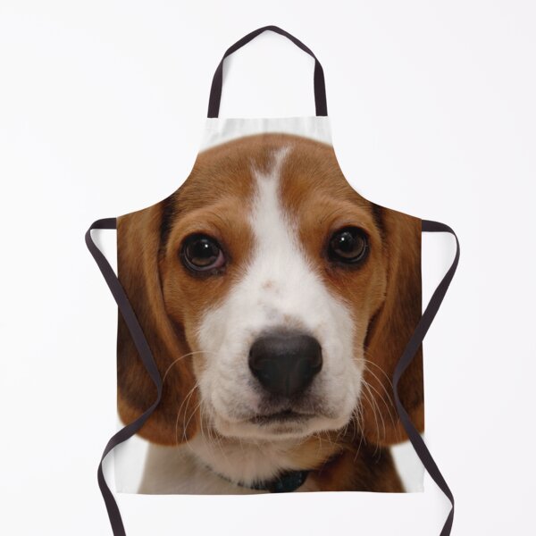 Item preview, Beagle dog portrait dogs pet pets puppy art cute Beagles  designed and sold by Coolstuff4you71.