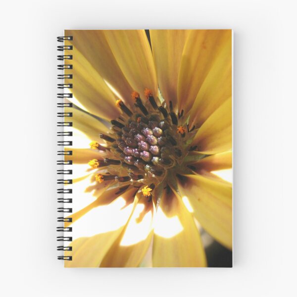 Item preview, Sunny and Serene - Beautiful African Daisy Centre designed and sold by Kathryn Jones.