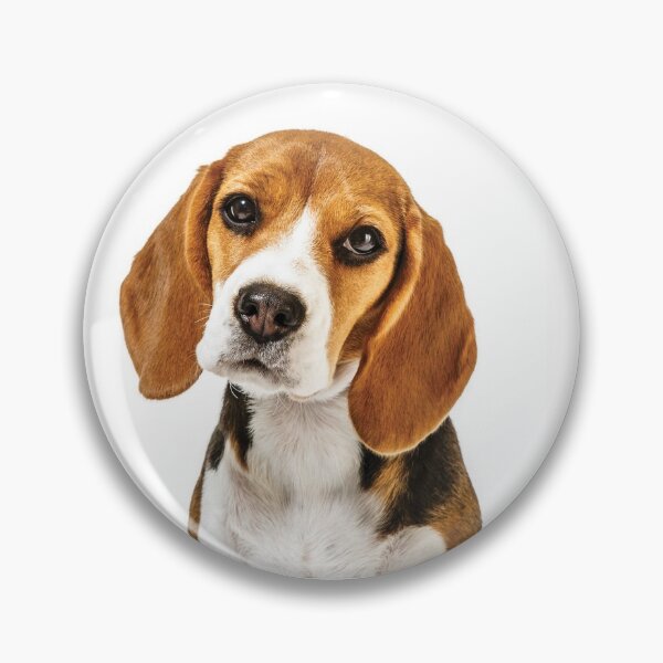 Item preview, Beagle dog portrait dogs pet pets puppy art cute Beagles  designed and sold by Coolstuff4you71.