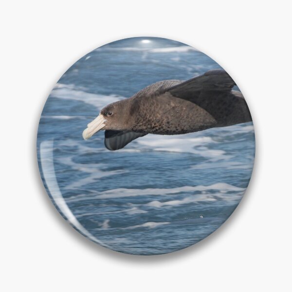 Item preview, Northern Giant Petrel designed and sold by Robert Elliott.