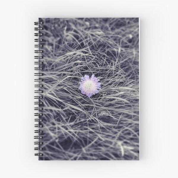 Item preview, Scabious en un mar de hierba designed and sold by Hazel Meades.