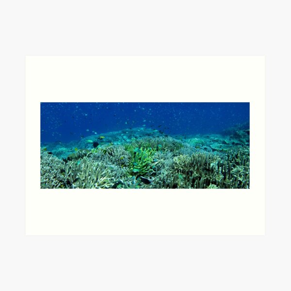Reef Flat at Saru Namu-Namu Island. Art Print