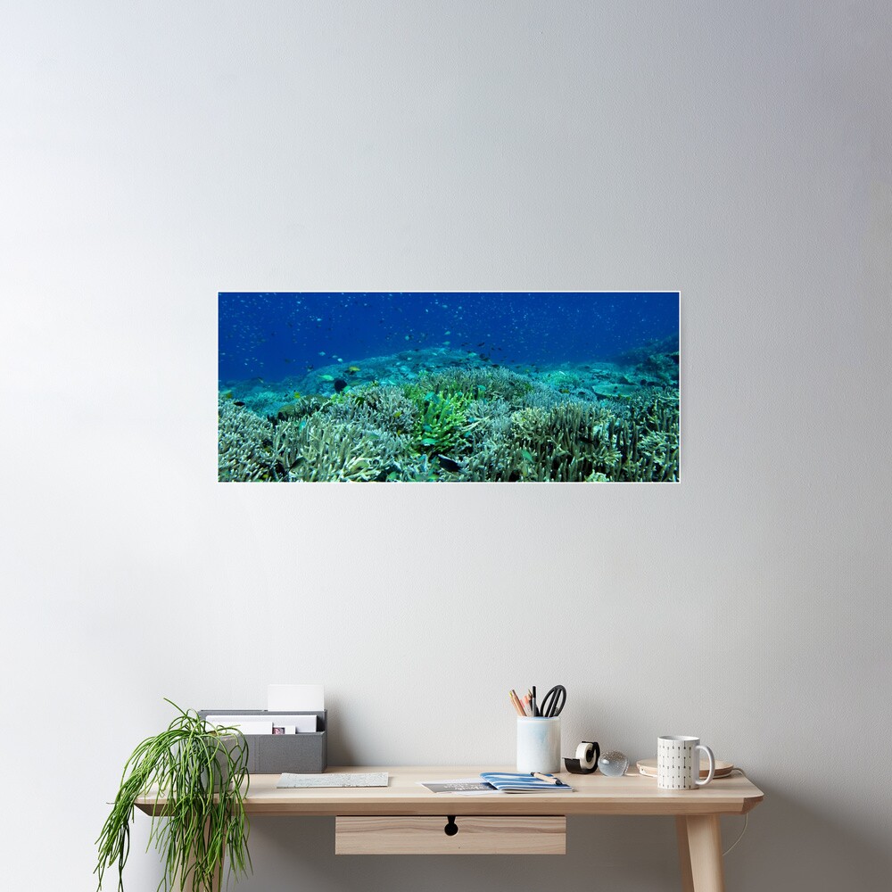 Reef Flat at Saru Namu-Namu Island. Poster