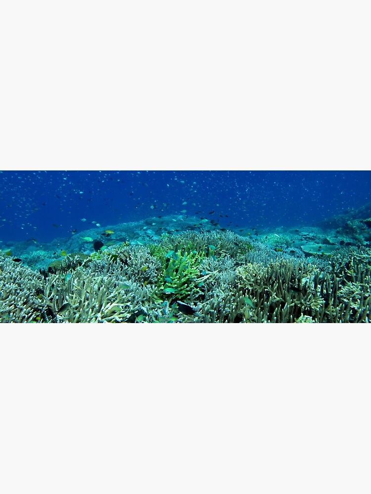 Reef Flat at Saru Namu-Namu Island. by neoniphon