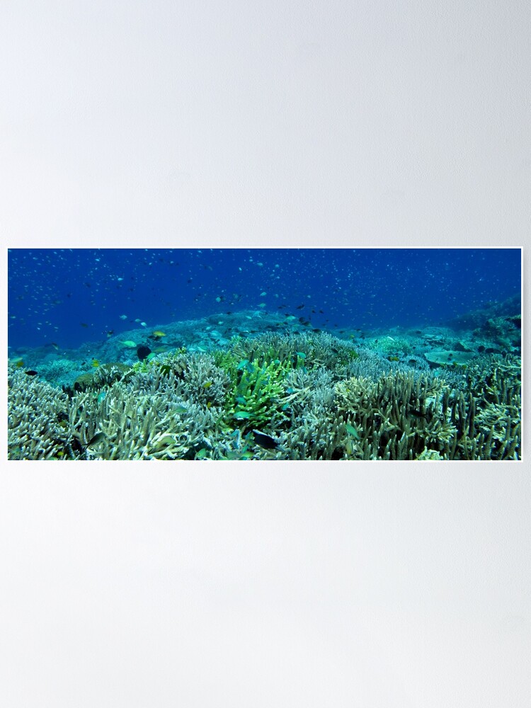 Alternate view of Reef Flat at Saru Namu-Namu Island. Poster