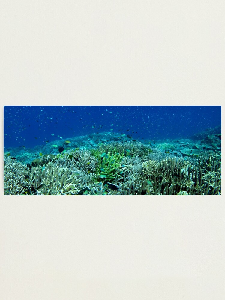 Alternate view of Reef Flat at Saru Namu-Namu Island. Photographic Print