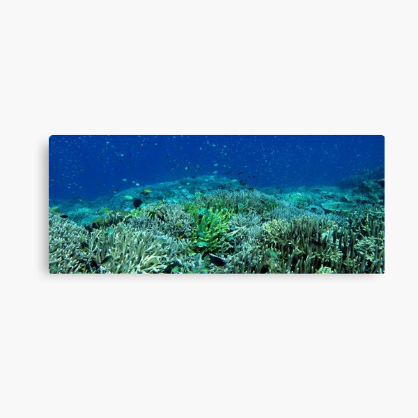 Reef Flat at Saru Namu-Namu Island. Canvas Print