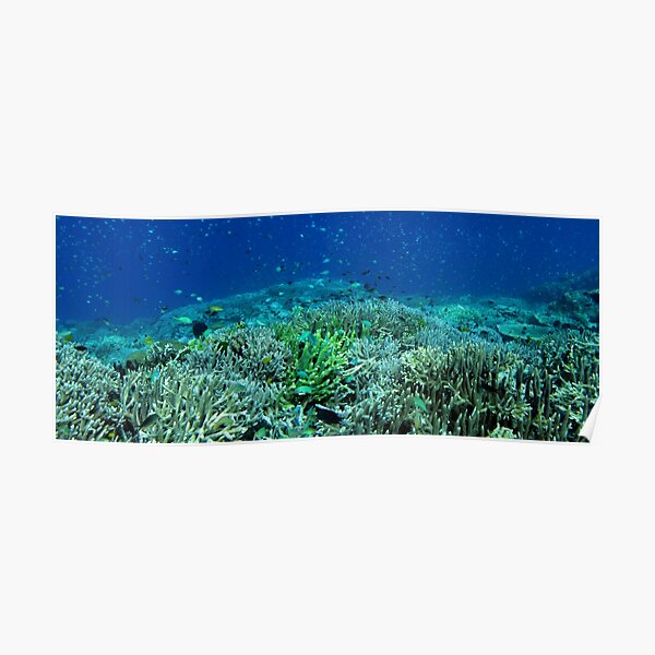 Reef Flat at Saru Namu-Namu Island. Poster