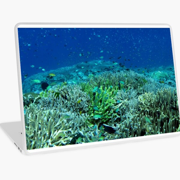 Reef Flat at Saru Namu-Namu Island. Laptop Skin