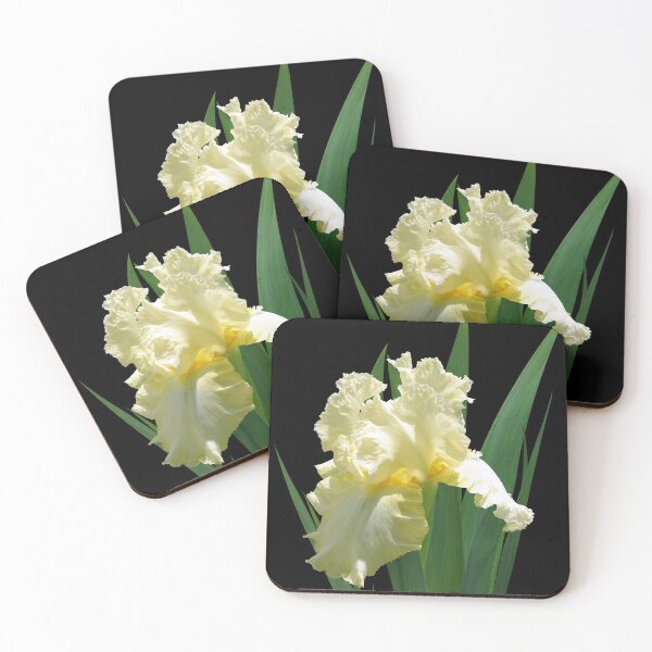Item preview, Spotlight on 'Elegant Impressions' bearded iris designed and sold by rvjames.