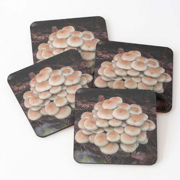 Item preview, Mushroom Cluster designed and sold by KsbAesthetics.