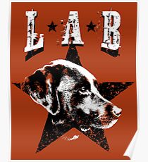 Black Lab Poster