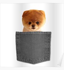 Boo Dog II Poster