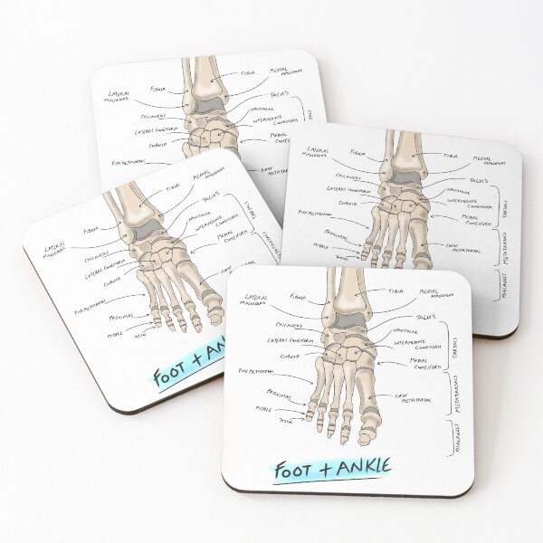 Item preview, Boney Anatomy of the foot and ankle  designed and sold by faolansforge.